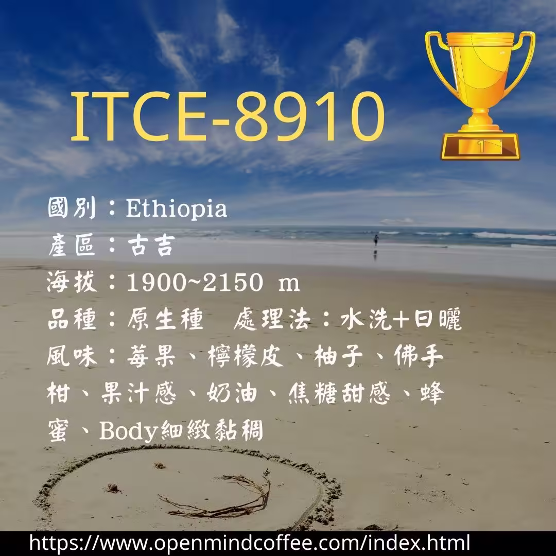 8910--2021-ITCE 國際評鑑[CA組]- 金質獎