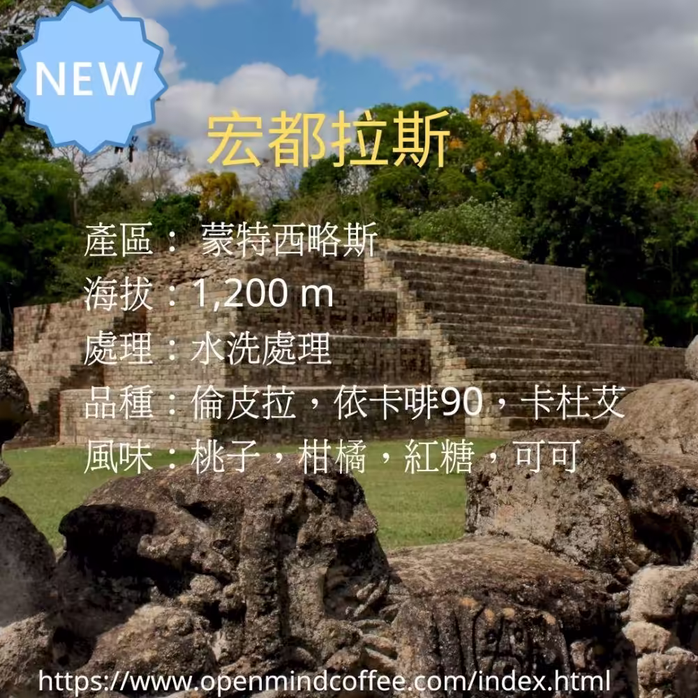 宏都拉斯咖啡