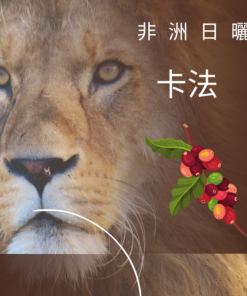 衣索比亞 卡法-日曬