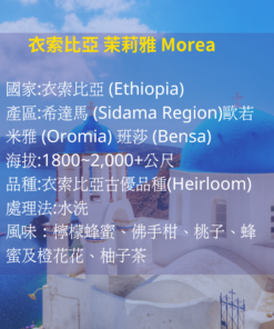 衣索比亞 茉莉雅 Morea