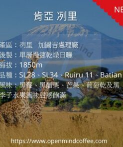 肯亞 冽里  單層慢速乾燥日曬-少量庫存