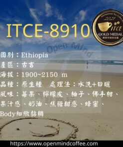 8910-2021-ITCE 國際評鑑[CA組]- 金質獎