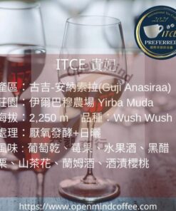 貴妃-2021-ITCE 國際評鑑[CA 組]  優質獎